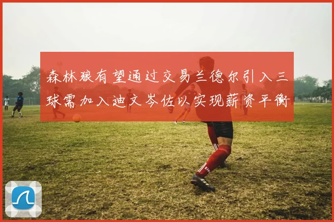 森林狼有望通过交易兰德尔引入三球需加入迪文岑佐以实现薪资平衡
